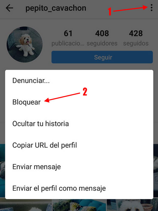 bloquear usuarios en instagram